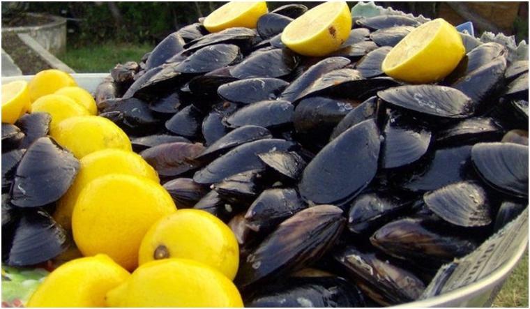 Midye haftada 3-4 adetle sınırlandırılmalı