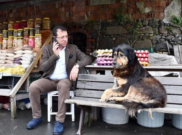 İmamoğlu'nun 'İstanbul Sokak Hayvanları' projesi
