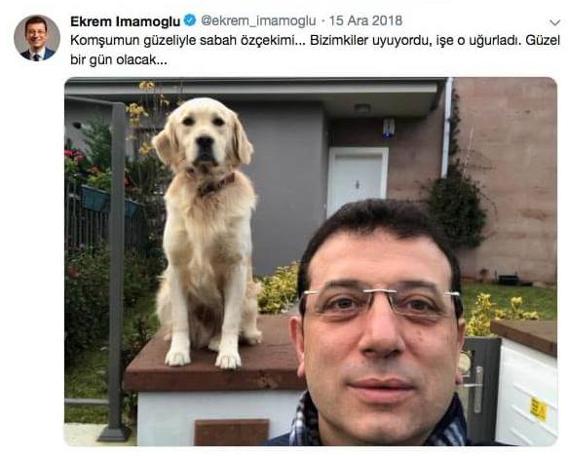 İmamoğlu'nun 'İstanbul Sokak Hayvanları' projesi