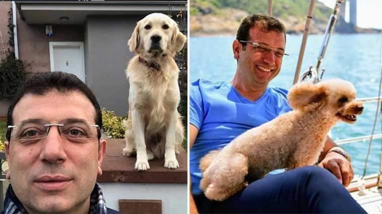 İmamoğlu'nun 'İstanbul Sokak Hayvanları' projesi