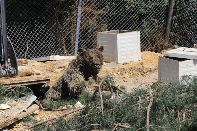 Yürek sızlatan görüntü (24.07.2019)