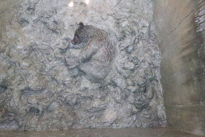 Yürek sızlatan görüntü (24.07.2019)