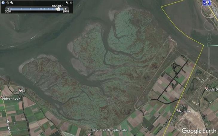 Google Haritalar'ında rastlanan sıra dışı görüntüler...