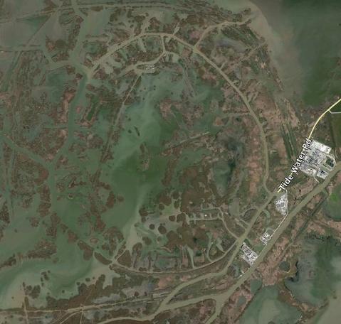 Google Haritalar'ında rastlanan sıra dışı görüntüler...