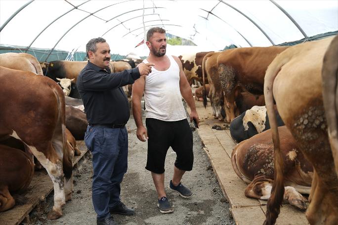 İstanbul'da kurban satışları başladı