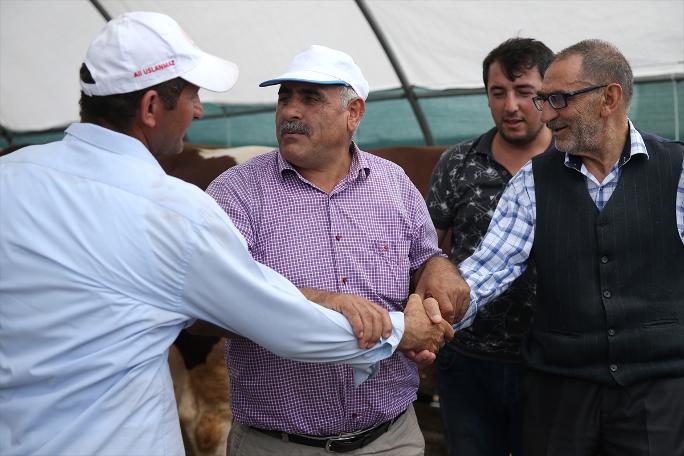 İstanbul'da kurban satışları başladı