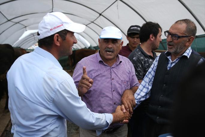 İstanbul'da kurban satışları başladı