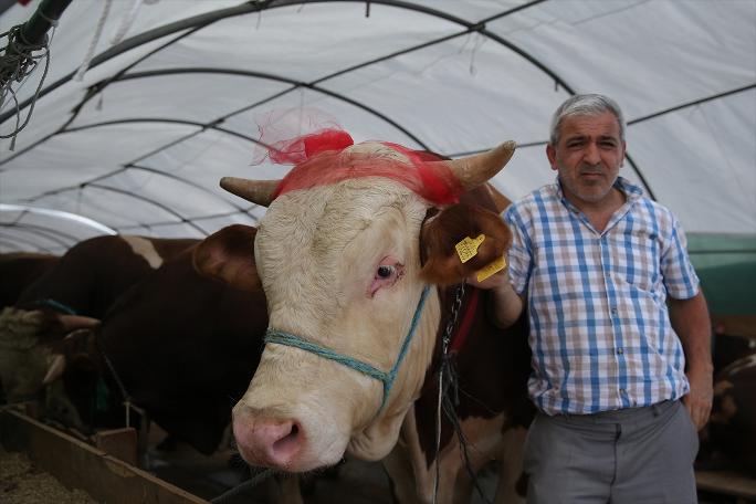 İstanbul'da kurban satışları başladı
