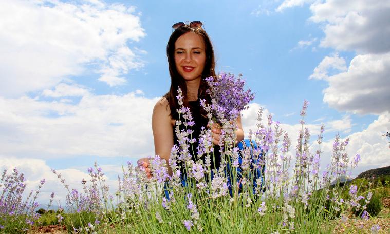 Lavanta Deresi yerli ve yabancı turistlerin ilgisini çekiyor