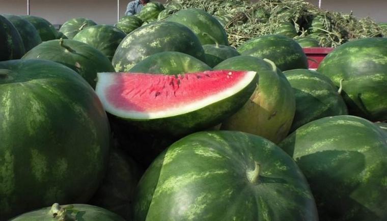 Karpuzun 8 önemli faydası! İki dilim karpuz tüketirseniz...