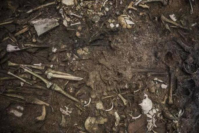 İstanbul’da bulundu! 'Büyük heyecan yarattı'