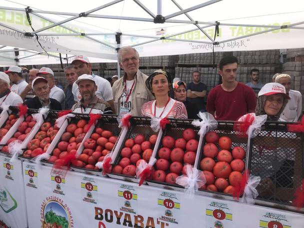 Domatesi en hızlı yiyebilmek için yarıştılar