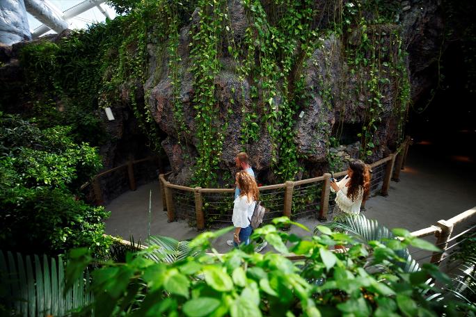 Kelebekler kanatlarını 1,5 milyon ziyaretçi için açtı