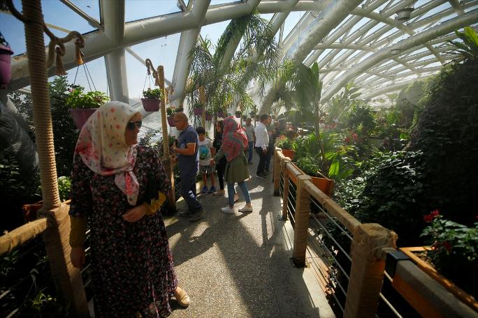 Kelebekler kanatlarını 1,5 milyon ziyaretçi için açtı