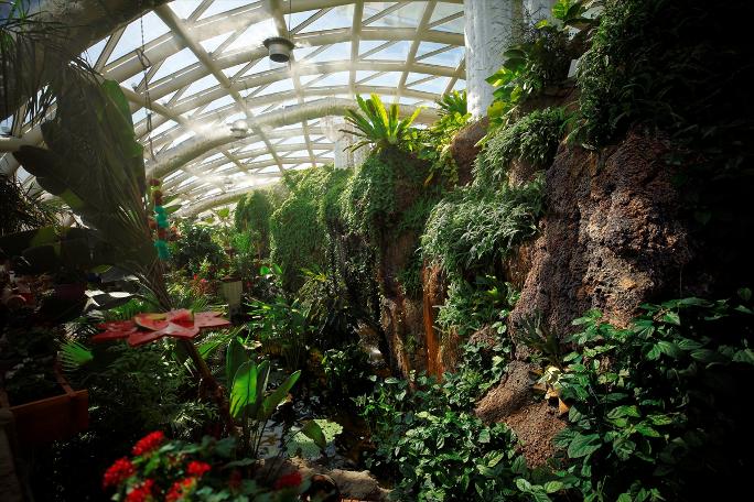 Kelebekler kanatlarını 1,5 milyon ziyaretçi için açtı