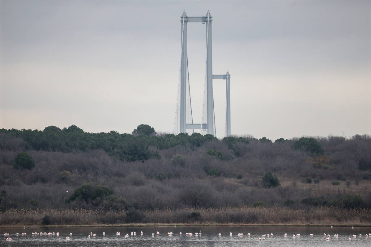 Hersek Kuş Cenneti flamingolarla bir başka güzel
