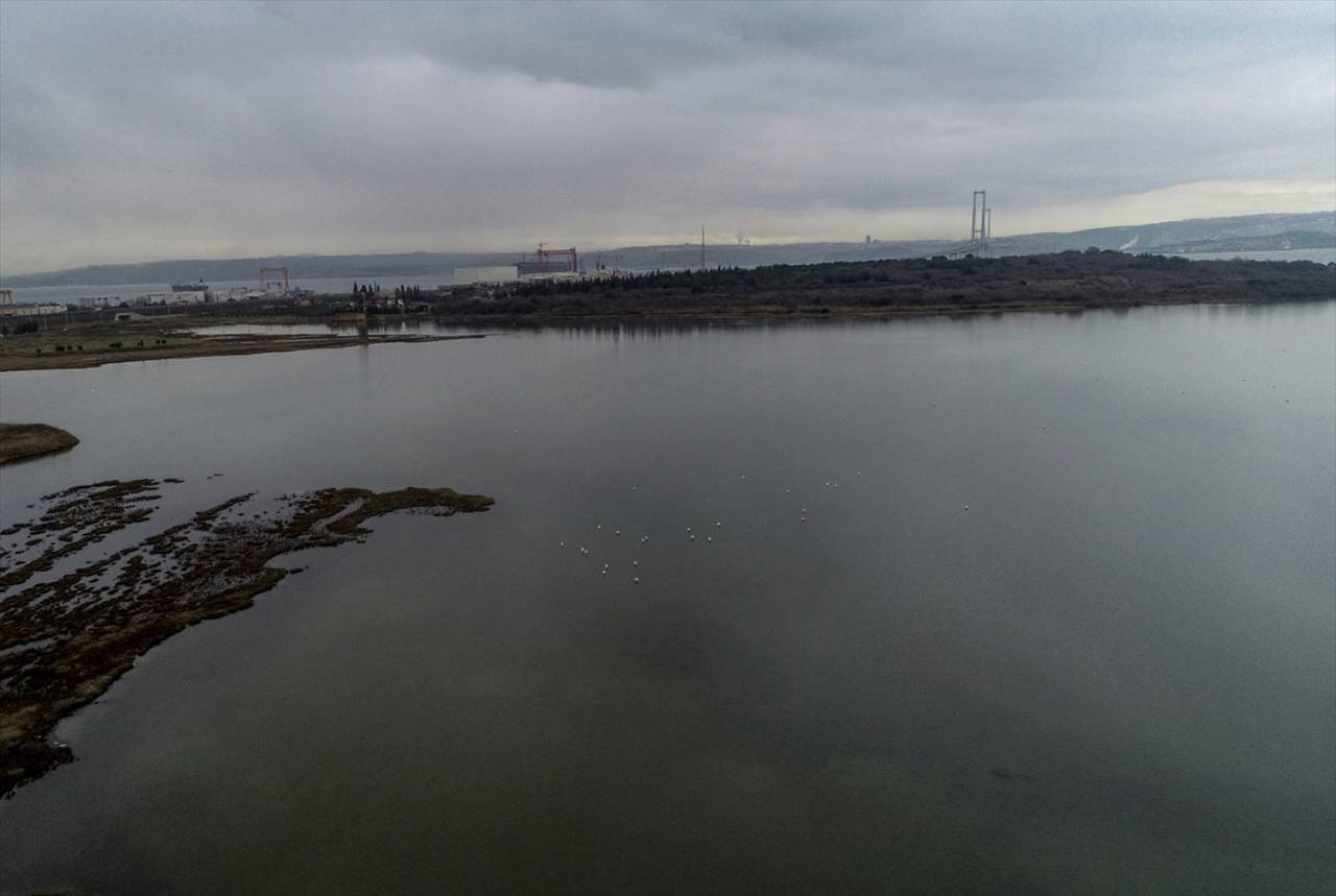 Hersek Kuş Cenneti flamingolarla bir başka güzel