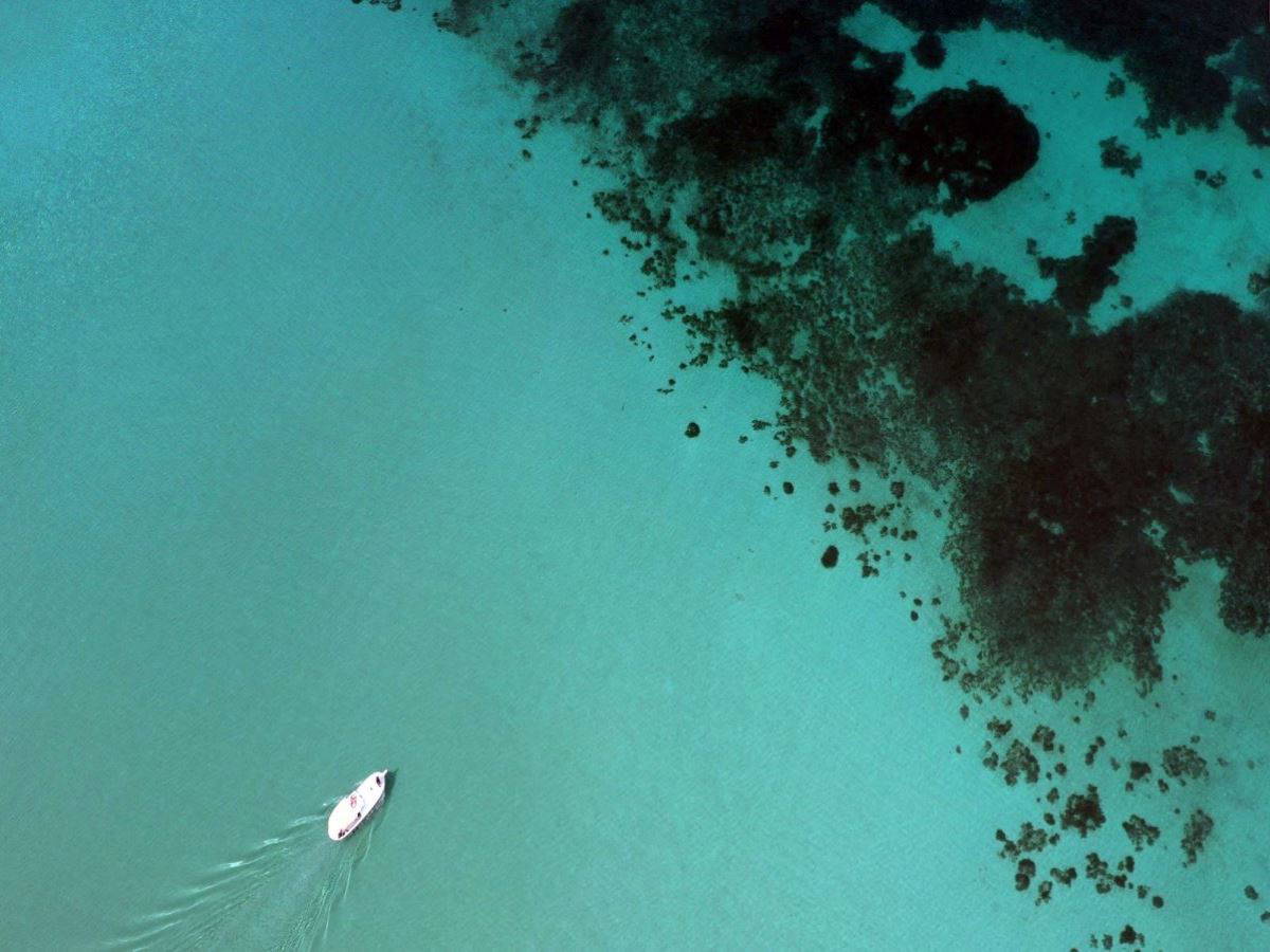 İzmir’in sinema envanteri çıkarıldı