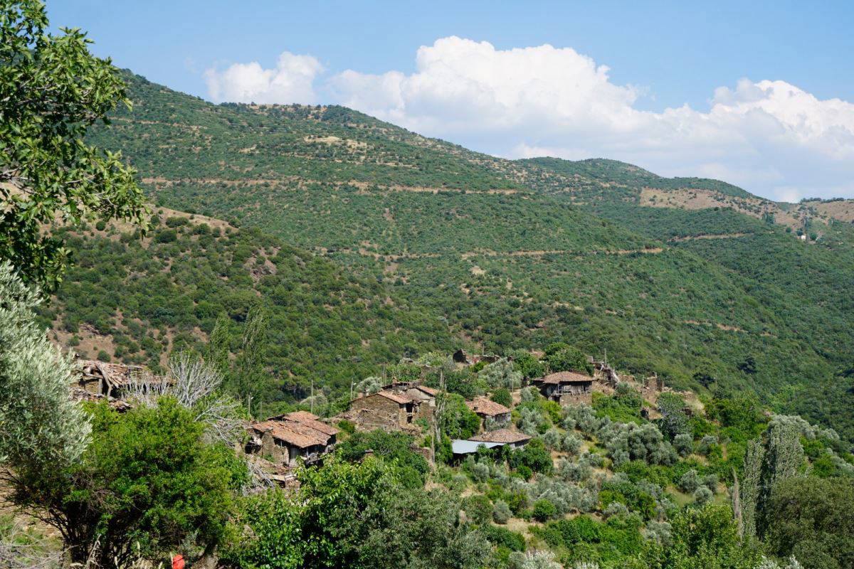 İzmir’in sinema envanteri çıkarıldı