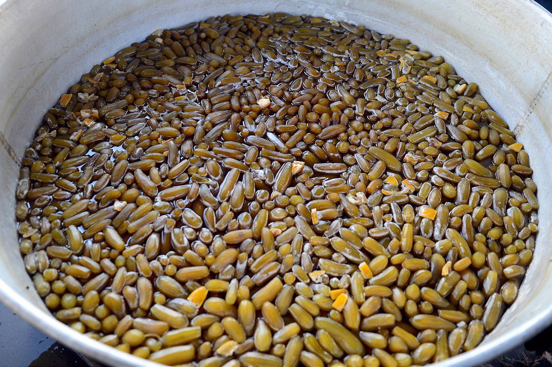 Iğdır'a özgü patlıcan reçeli yörenin kadınlarına kazanç kapısı oldu