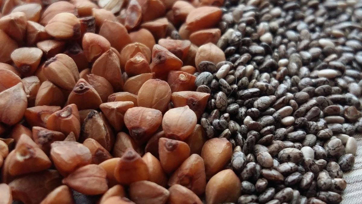 Bağışıklık sistemini güçlendiren 14 besin