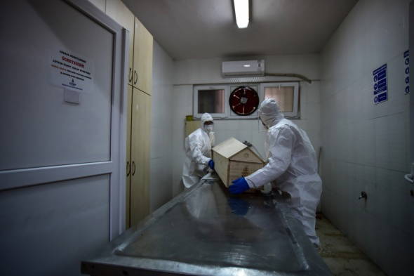 İstanbul'da koronavirüs definleri görüntülendi