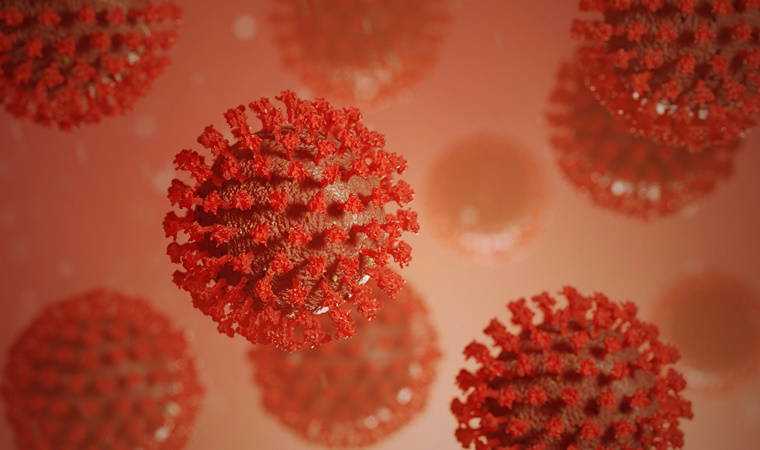 Fazla tüketildiğinde hastalıklara sebep oluyor, beden sağlığınızı bozuyor: Bağışıklık sistemini zayıflatan 8 besin