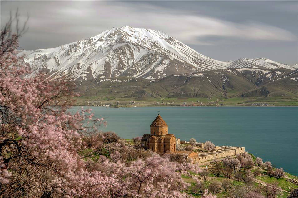 Akdamar Adası çiçek açan badem ağaçlarıyla büyülüyor