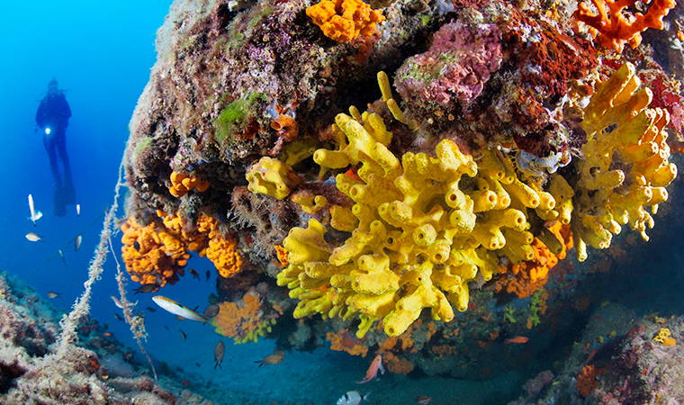 İzmir Körfezi’nden tablo gibi kareler (26.04.2020)