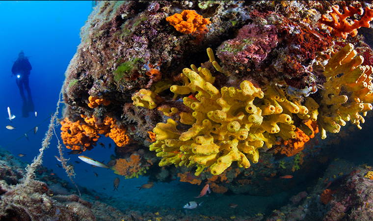 İzmir Körfezi’nden tablo gibi kareler (26.04.2020)