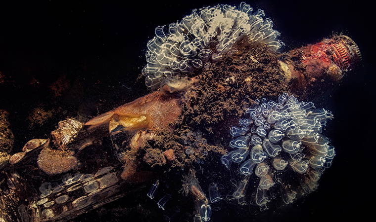 İzmir Körfezi’nden tablo gibi kareler (26.04.2020)