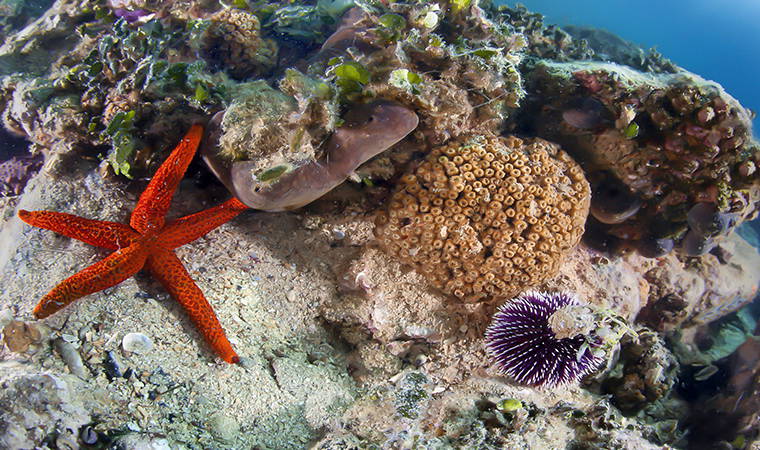 İzmir Körfezi’nden tablo gibi kareler (26.04.2020)