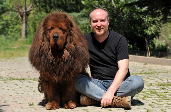 12 ülkeye cins köpek satıyor, değeri 300 bin TL olan da var