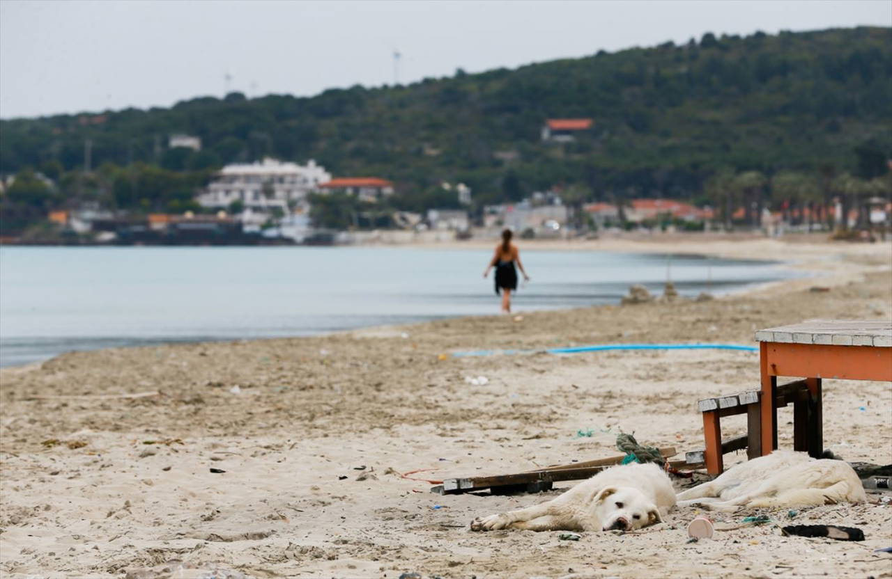 Çeşme Covid-19 sonrası turizm sezonuna hazırlanıyor