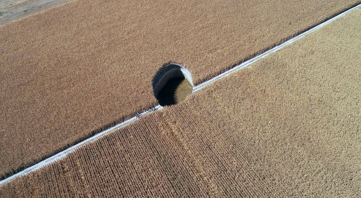 Sayıları 350'yi geçti: Ciddi risk oluşturuyor