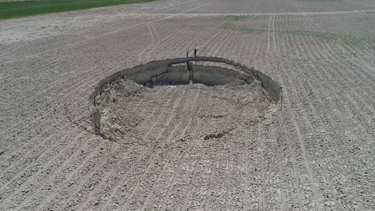 Sayıları 350'yi geçti: Ciddi risk oluşturuyor