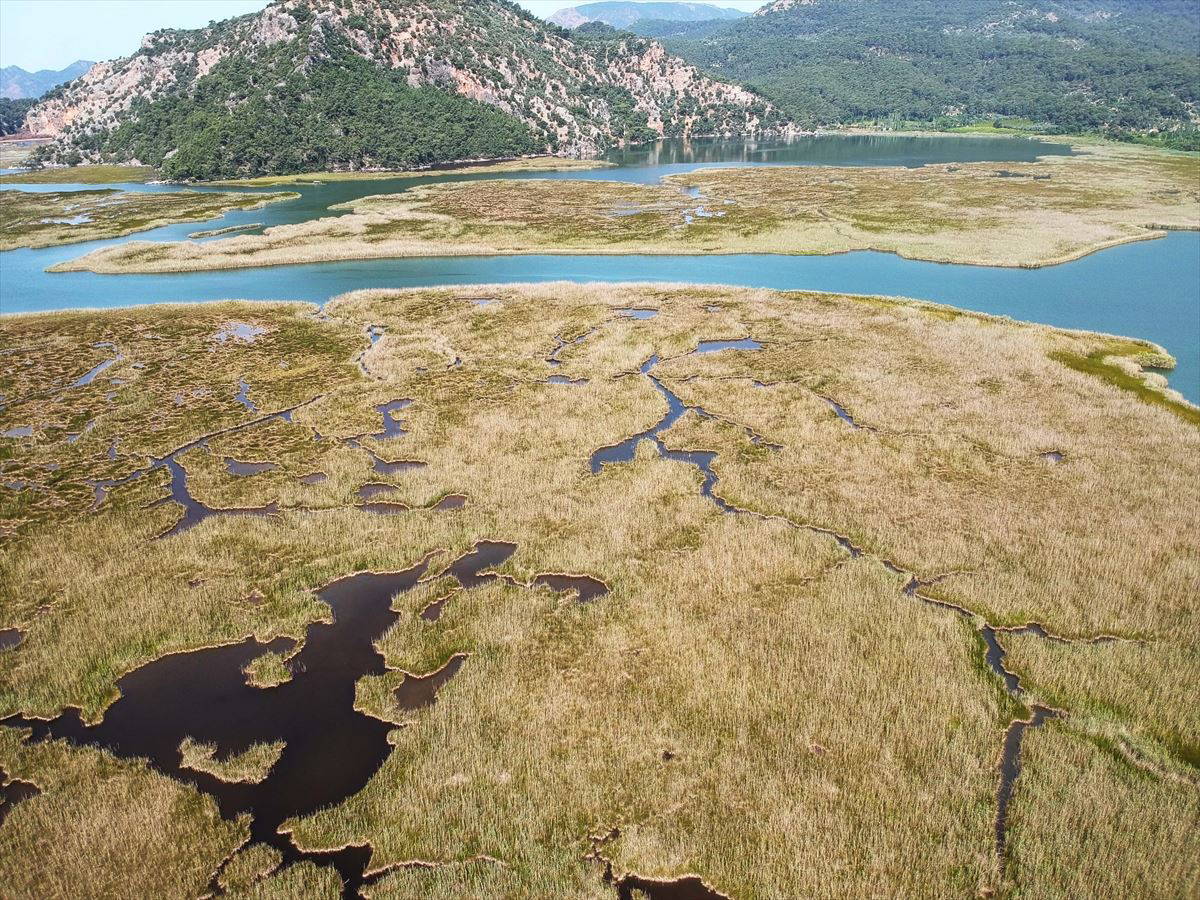 Labirent görünümlü Dalyan sazlıkları