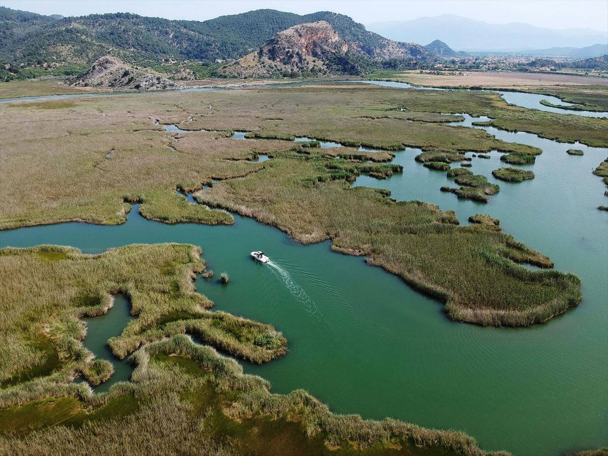 Labirent görünümlü Dalyan sazlıkları