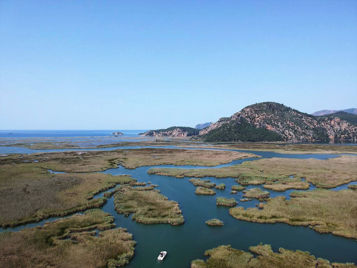 Labirent görünümlü Dalyan sazlıkları
