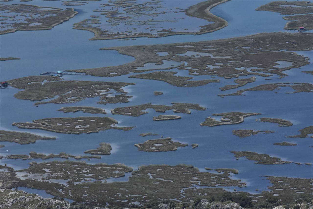 Labirent görünümlü Dalyan sazlıkları