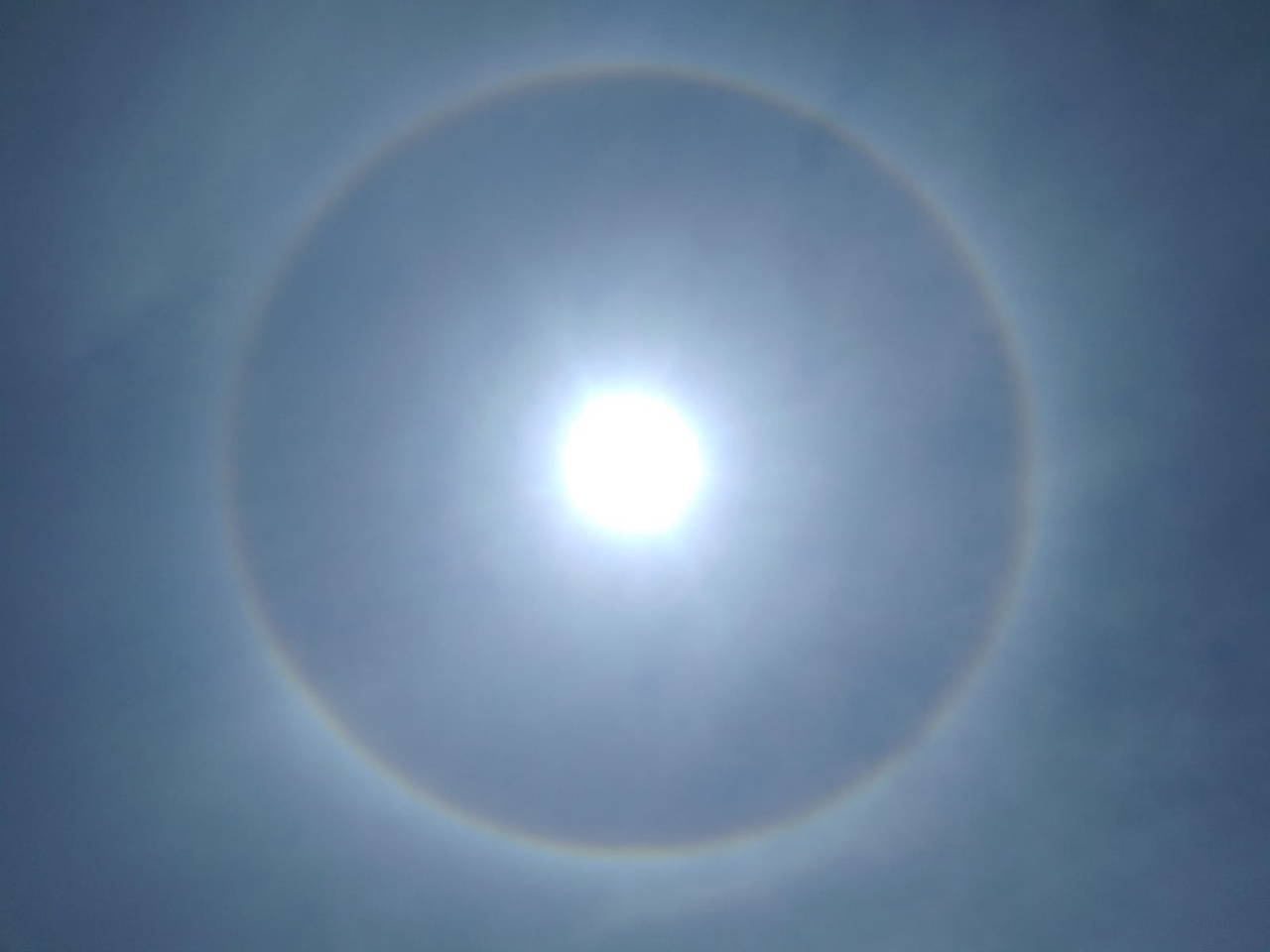 Görenler hayretler içinde kaldı!