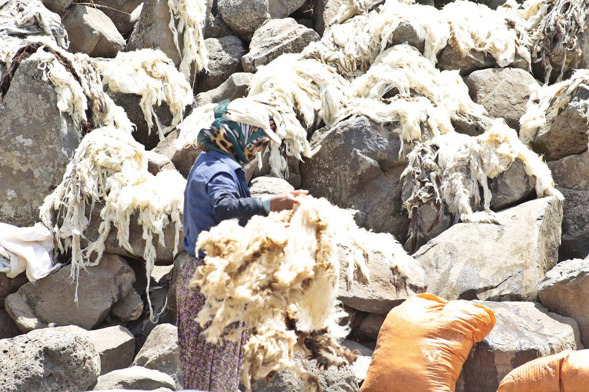 Güneydoğu dereleri, yün yıkayan kadınlarla renklendi