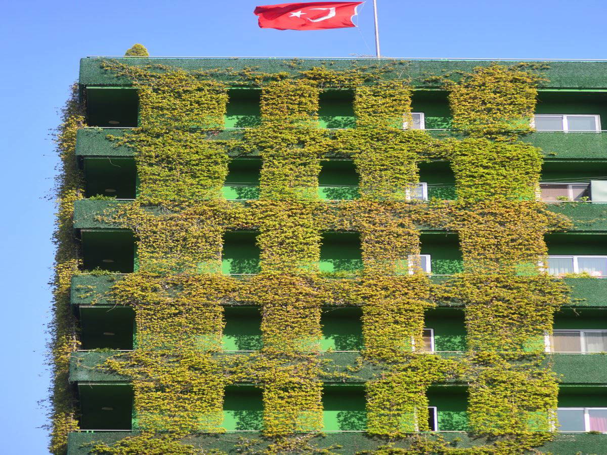 Sarmaşıkların sardığı 10 katlı bina: Apartmanda daire fiyatları 1 milyon TL'yi aştı