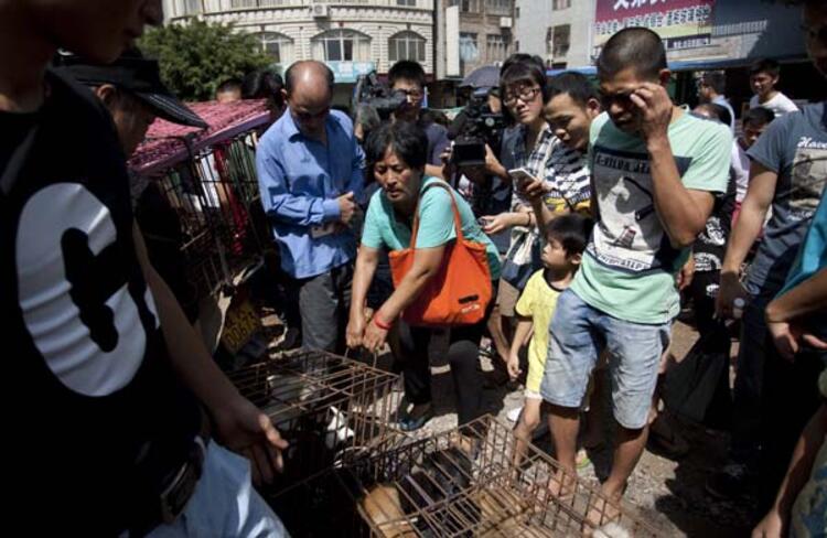 Çinli uzmandan kritik uyarı!