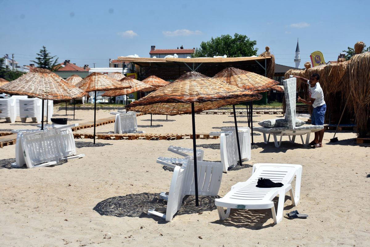 Saros Körfezi kıyıları, uğur böceklerinin istilasına uğradı