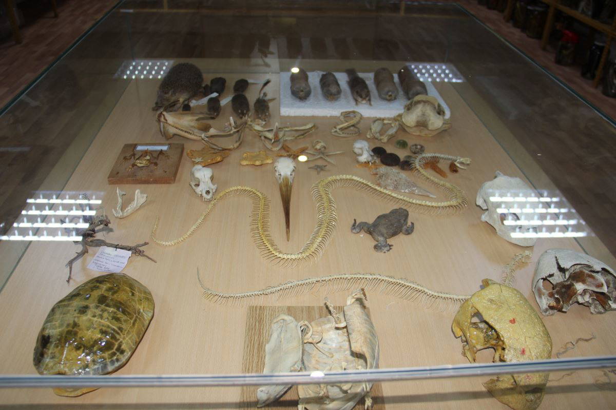 Prof. Dr. Kurtuluş Olgun’un  yılan sevgisi görenleri şaşırtıyor