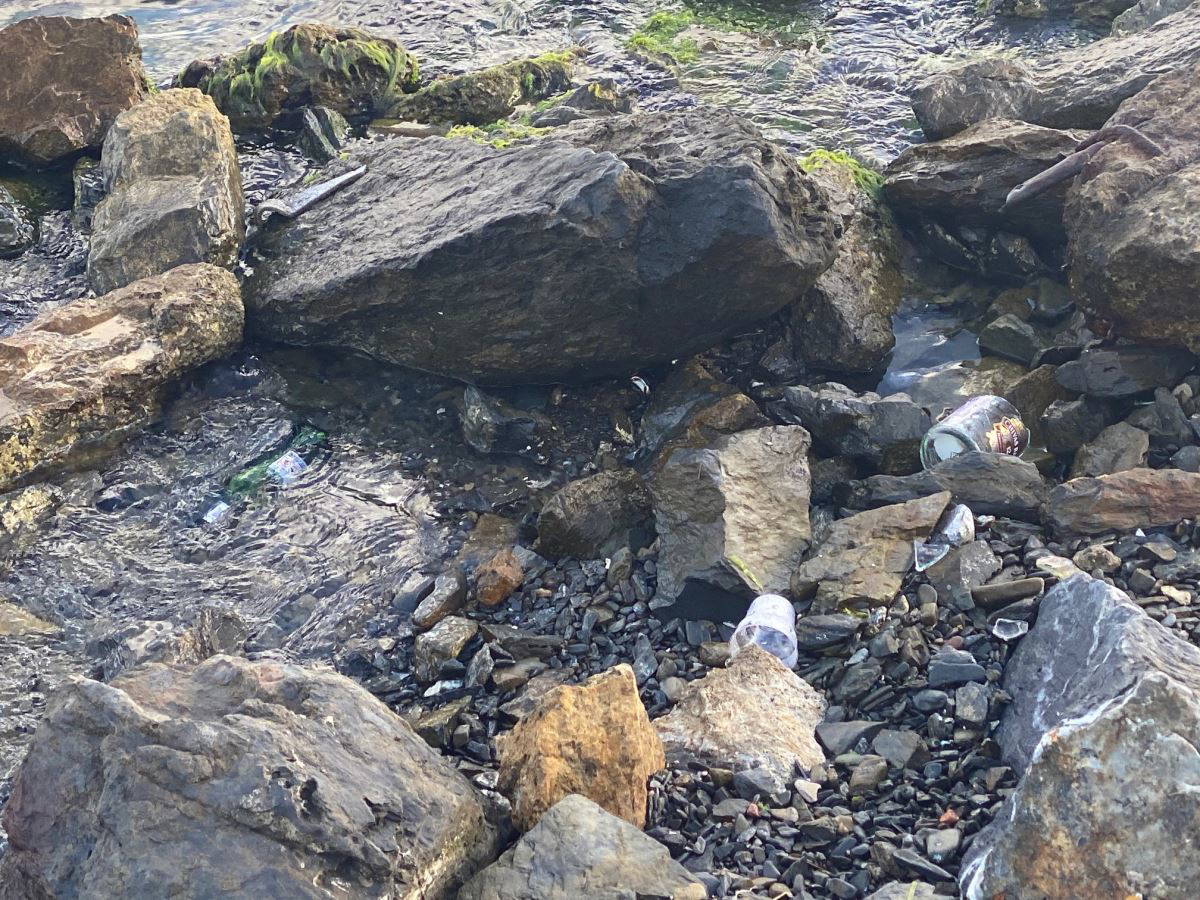 Beykoz Sahili çöplüğe döndü