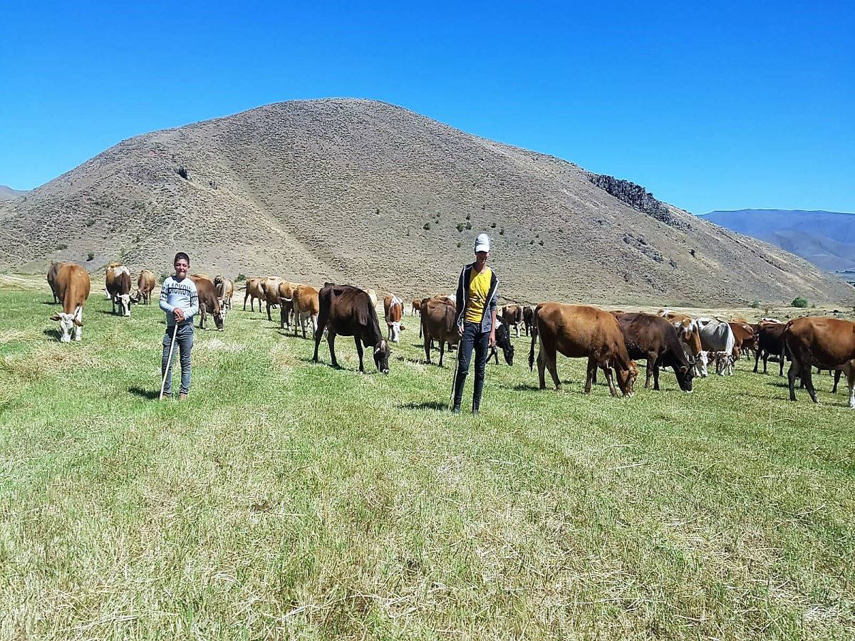 Cilt kanseri henüz 8 yaşında, gün ışığına çıkamıyor...  