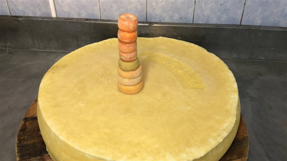 Mini Kars kaşarı üretiyor