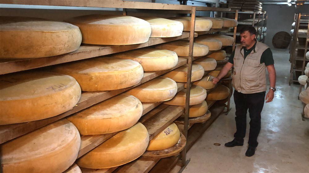 'Kars kaşarı İsviçre'nin Appenzeller peynirinin ciddi bir rakibidir'